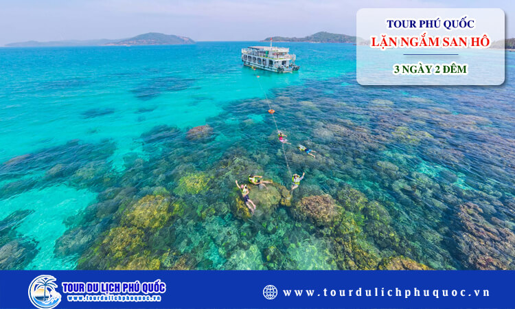 Tour lặn ngắm san hô Phú Quốc 3 ngày 2 đêm 