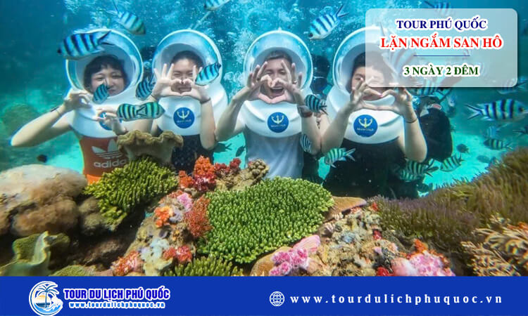 Tour lặn ngắm san hô Phú Quốc 3 ngày 2 đêm 